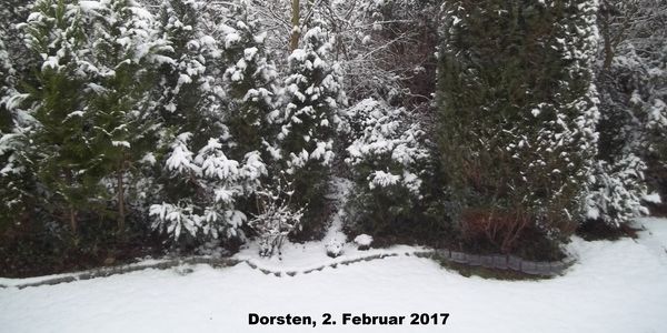 Klimawandel Dorsten 02.02.2017